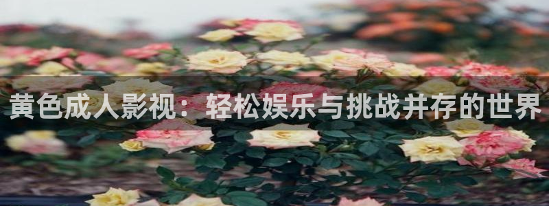 色七七影院在线观看：黄色成人影视：轻松娱乐与挑战并存的世界