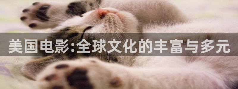 色七七影视：美国电影:全球文化的丰富与多元