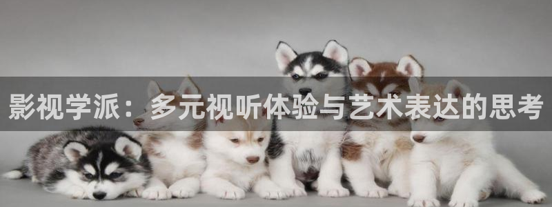 色七七影院桃花2017