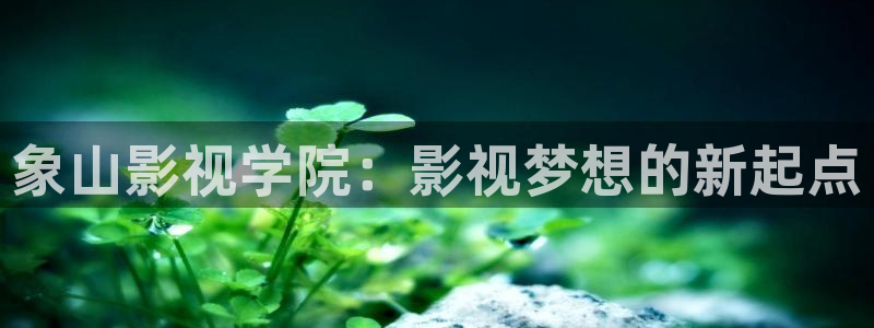 七七影院免费观看电视剧高清：象山影视学院：影视梦想的新起点